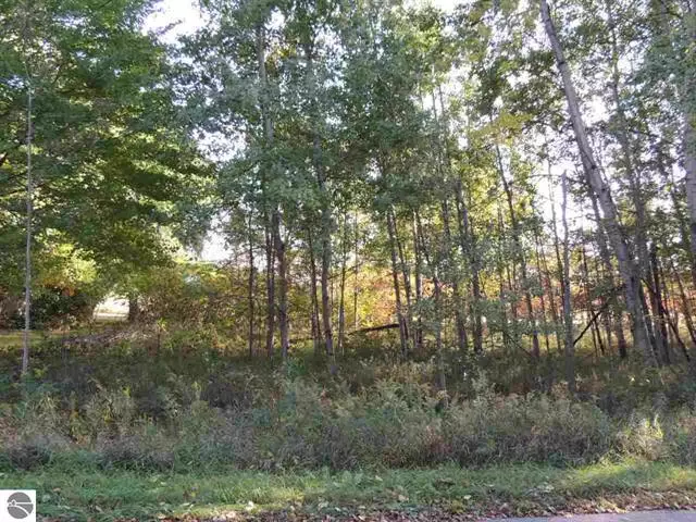 1055 Circle Lot 395, Broomfield Twp, MI 48893