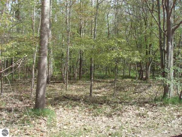 TBD Brookwood Drive Lot D,  Clare,  MI 48617