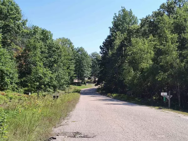 Surrey Twp, MI 48622,Lot 9 N Circle E