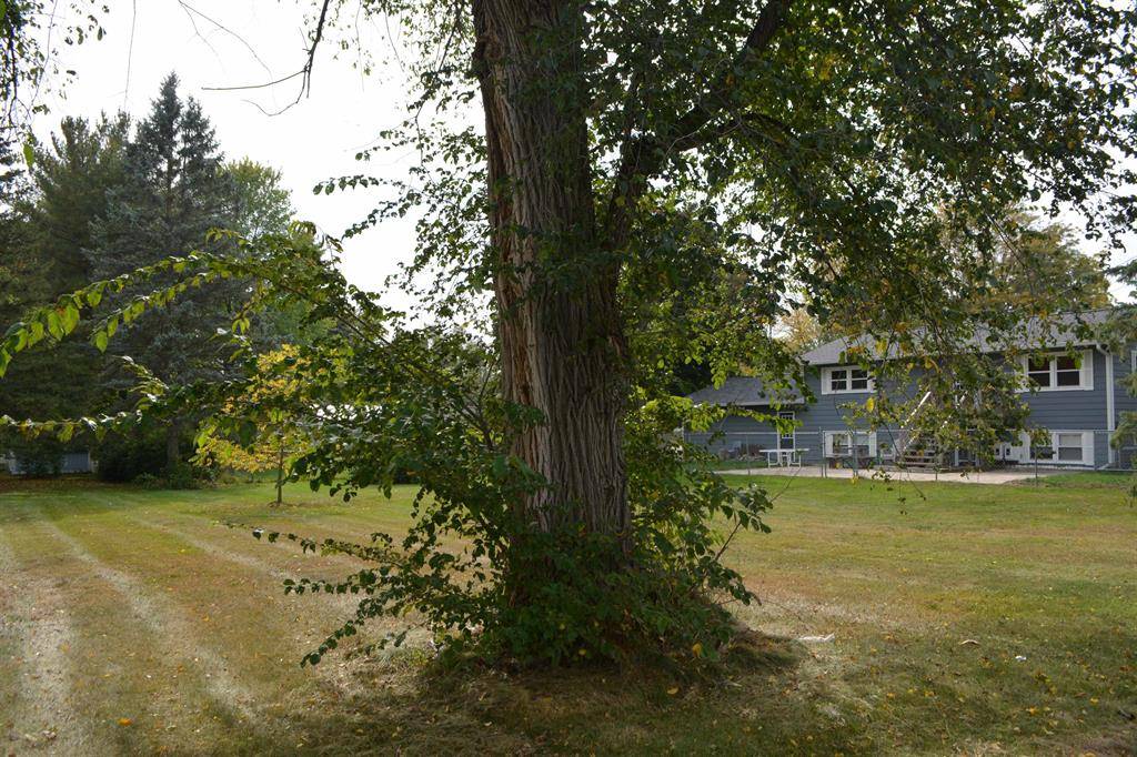 Mt. Pleasant, MI 48858,TBD E Pickard Road