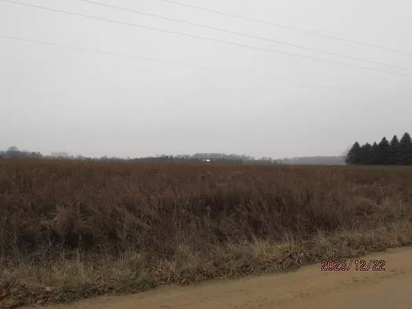 Lincoln Twp, MI 48858,TBD E Millbrook Road Parcel A Lot: 19