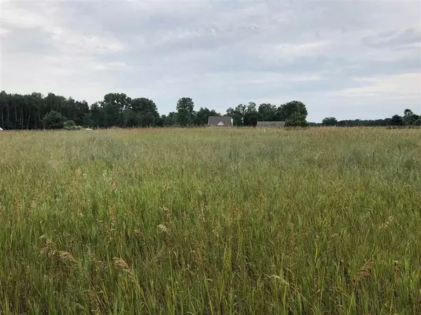 Sherman Twp, MI 48893,1003/1005 Pyrenees Drive