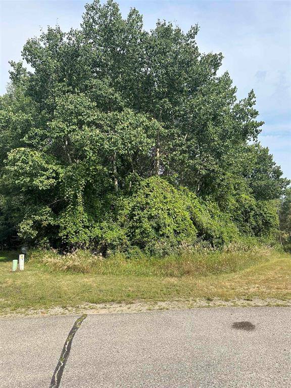 1000 Barcelona Drive Lot: 297, Sherman Twp, MI 48893