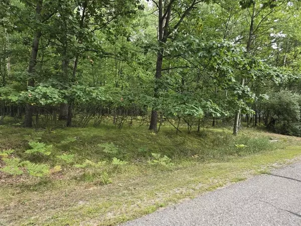 Sherman Twp, MI 48893,1009 Castle Drive Lot 88