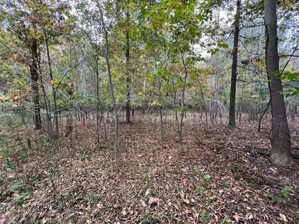 Fulton Twp, MI 48871,TBD Oakridge Drive Lot 275