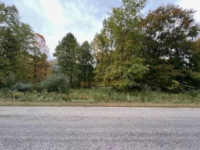 Fulton Twp, MI 48871,TBD Oakridge Drive Lot 275