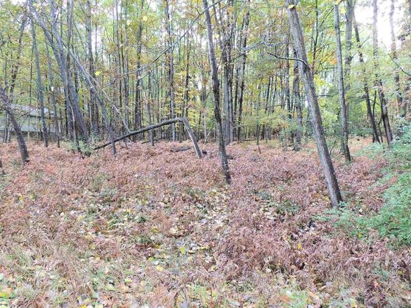 1014 Granada Drive Lot 96, Sherman Twp, MI 48893