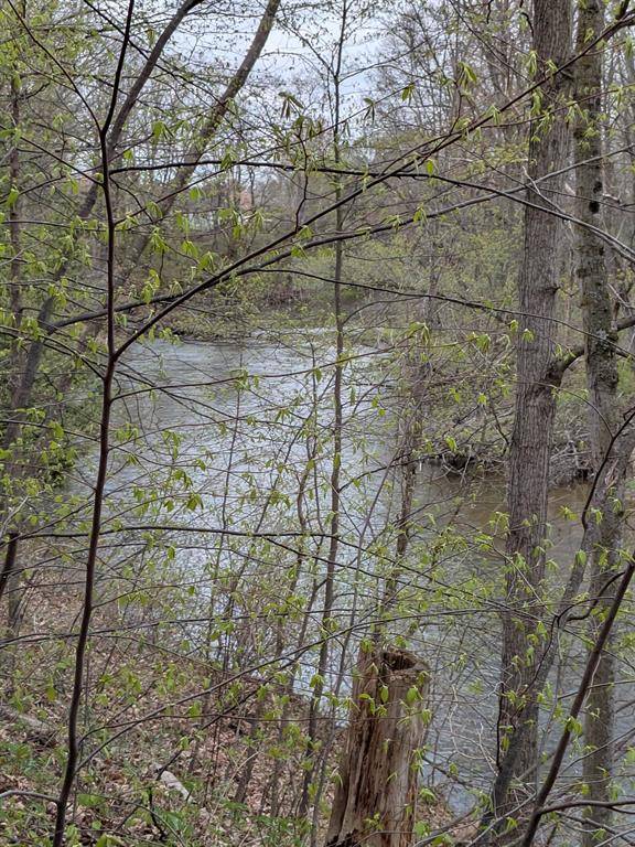 8355 Chippewa Trail Lot: 8, Chippewa Twp, MI 48858
