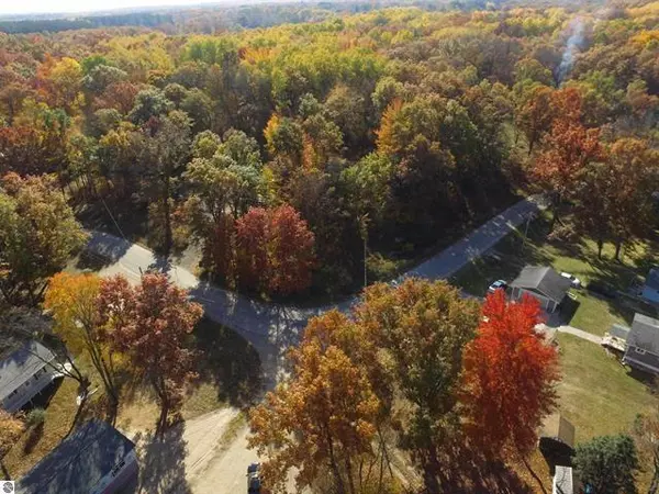 Sherman Twp, MI 48893,6875 W Shore Lot: 108