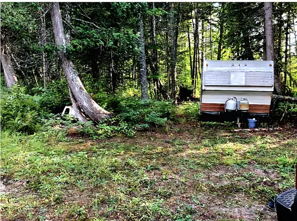 Torch Lake Twp, MI 49945,TBD Keweenaw Pass Road