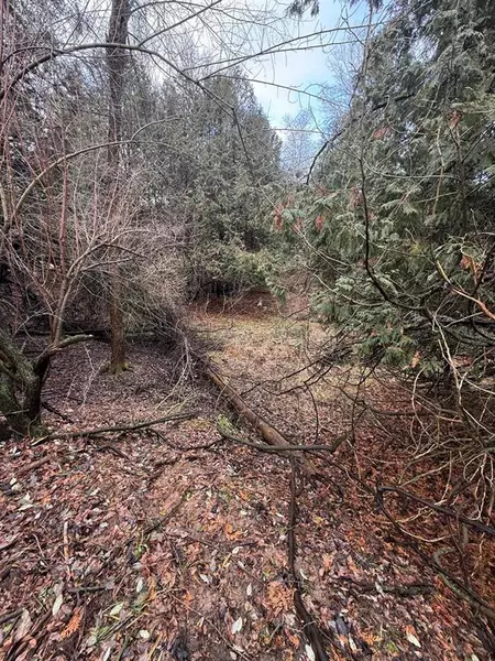 TBD Cedar Drive, Deerfield Twp, MI 48858