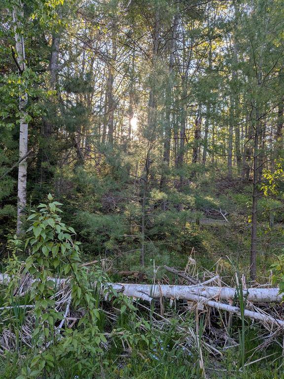 Tuscarora Twp, MI 49749,512 S Grandview Beach Road