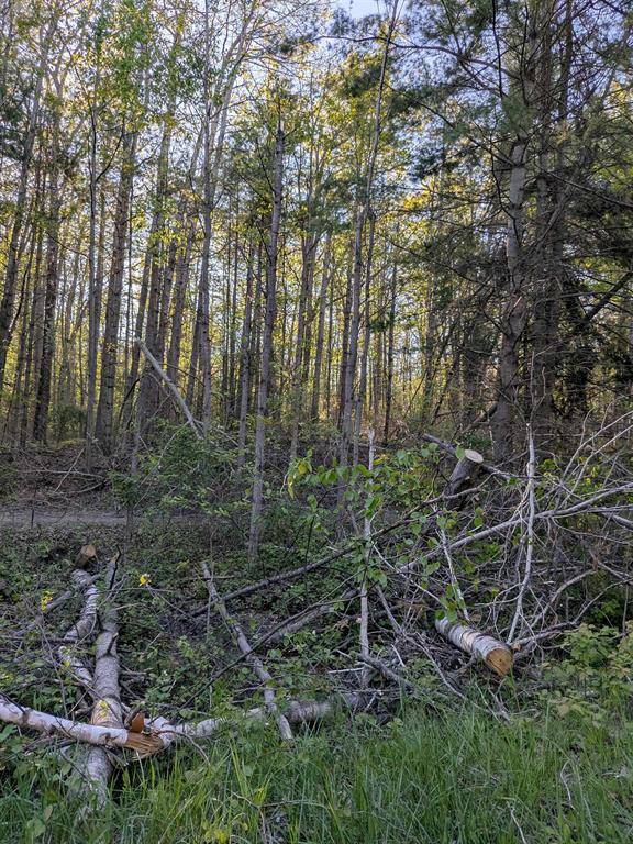 Tuscarora Twp, MI 49749,512 S Grandview Beach Road