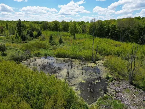 TBD 19 Mile Road,  Highland Twp,  MI 49688