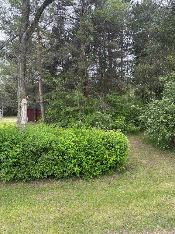 TBD Carter Street, Union Twp, MI 48858