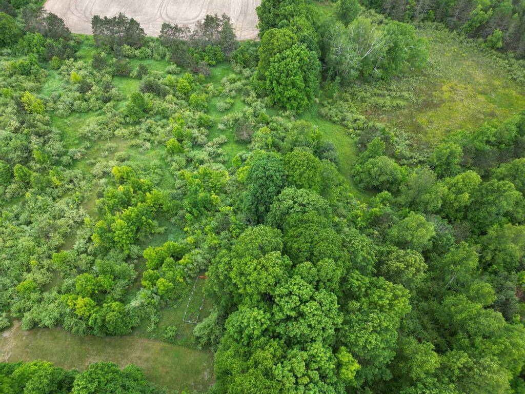 Surrey Twp, MI 48622,TBD Juniper Drive Unit 23