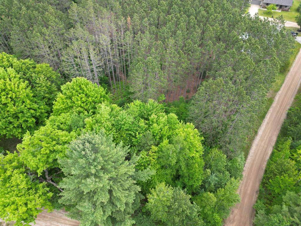 Surrey Twp, MI 48622,TBD Wintergreen Unit 46