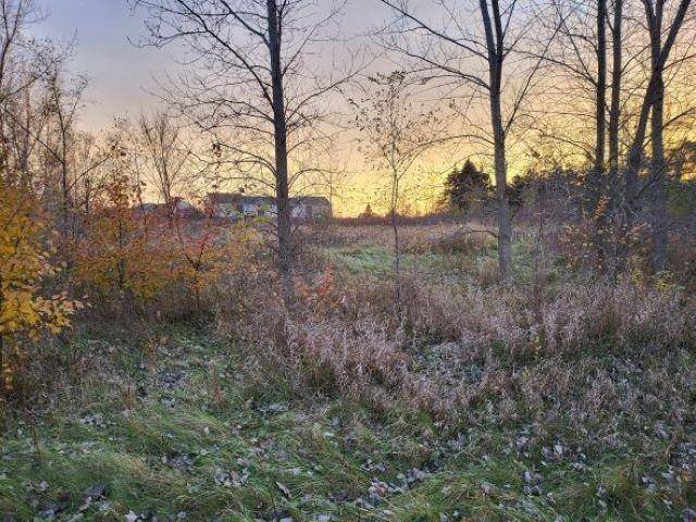 Union Twp, MI 48858,TBD Broomfield Street