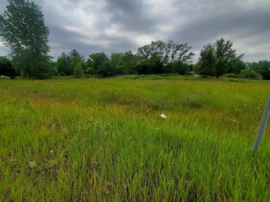 Chippewa Twp, MI 48858,TBD E Pickard Road Lot: 10-12