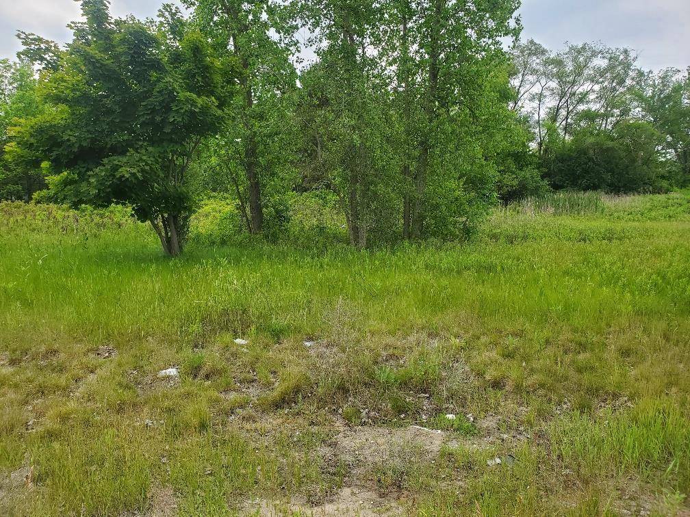 Chippewa Twp, MI 48858,TBD E Pickard Road Lot: 10-12