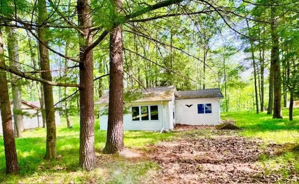 751 Bungo Lake Road, Lincoln Twp, MI 48625