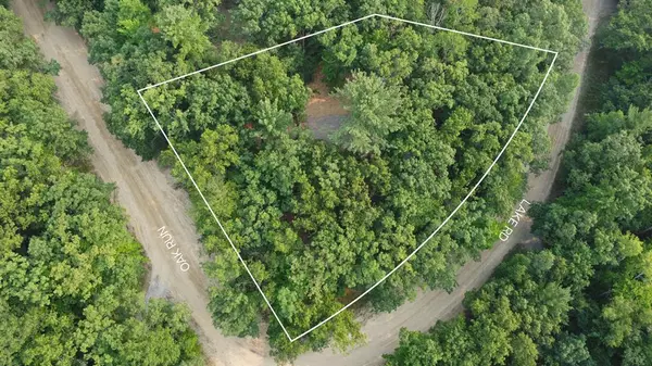 4681 Lake Road Lot: 728, Lincoln Twp, MI 48622