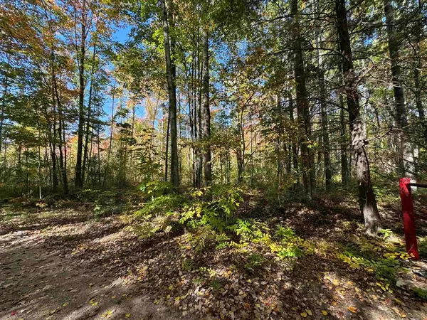 00 Cranberry Lake Road, Richland Twp, MI 48756