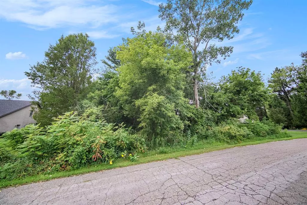 Henrietta Twp, MI 49272,Spinnaker Lane