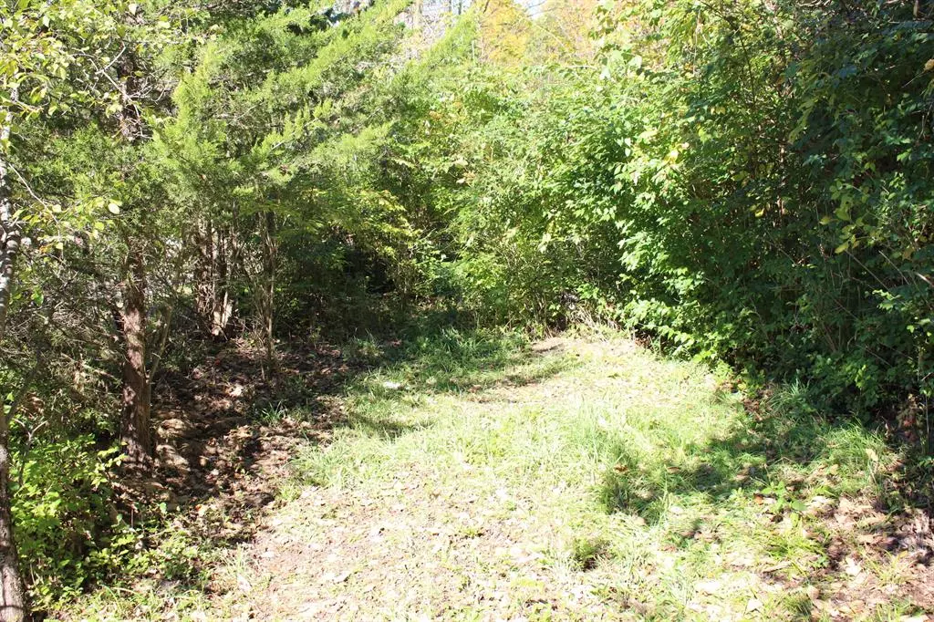 Superior Twp, MI 48198,Vacant E Clark Road