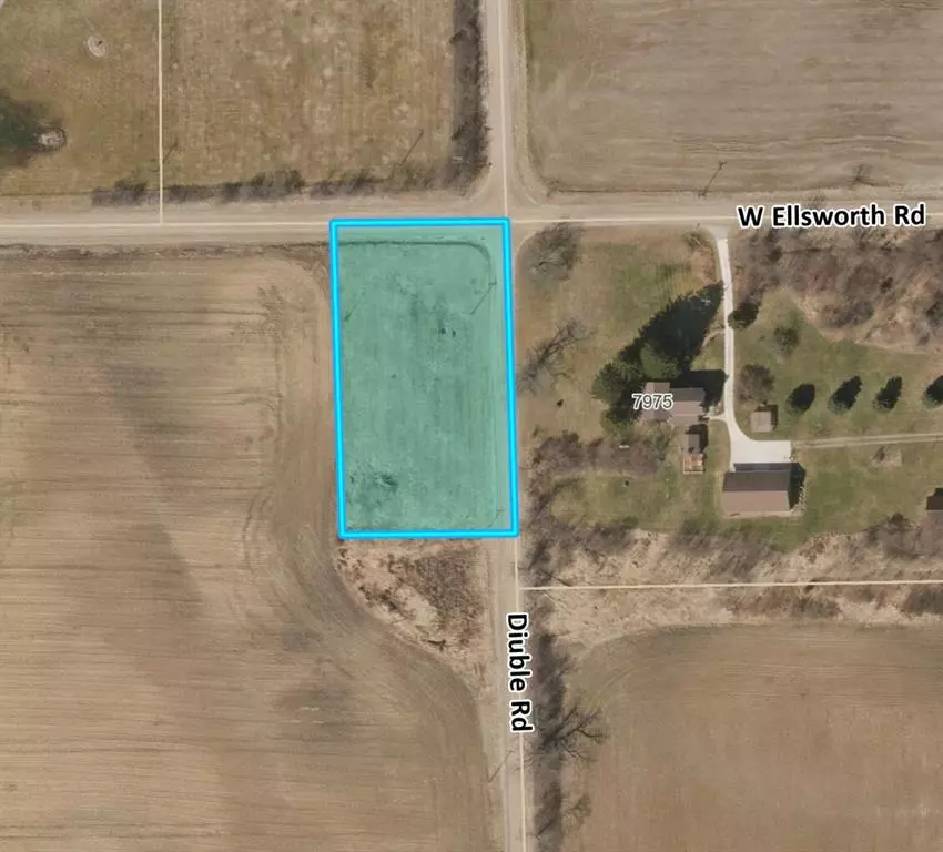 Lodi Twp, MI 48103,0 W Ellsworth Road