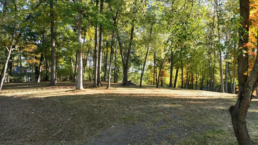 Grass Lake Twp, MI 49240,0 Lake Bluff Drive