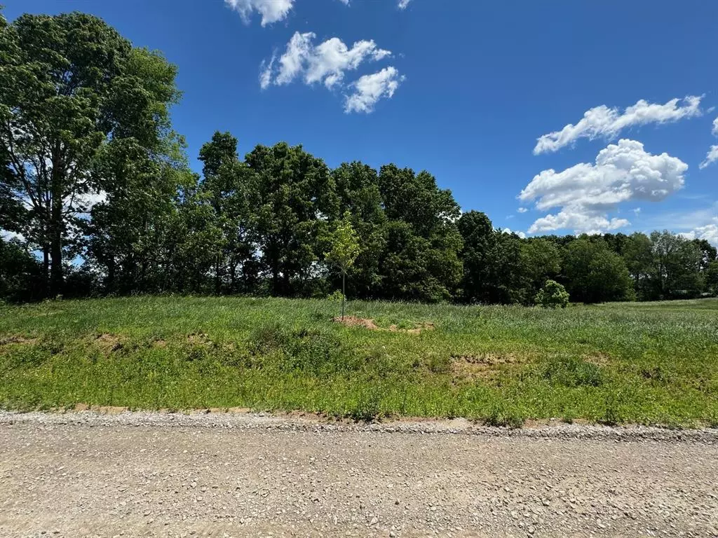 Saline Twp, MI 48176,0 Overlook Dr 1