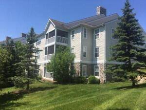 1201 Joyce Lane, Scio Twp, MI 48103