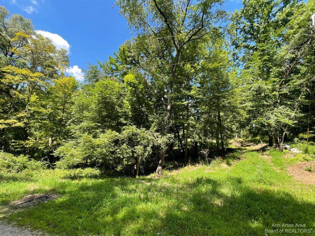 20692 Hidden Lake Drive, Lyndon Twp, MI 48137