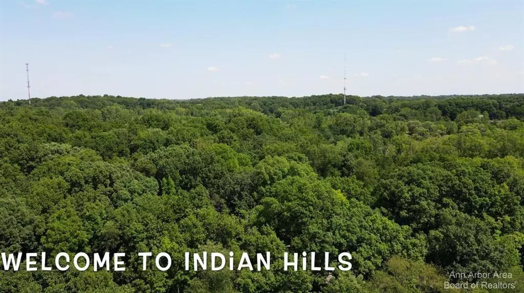 6100 Indian Hills Drive, Superior Twp, MI 48198