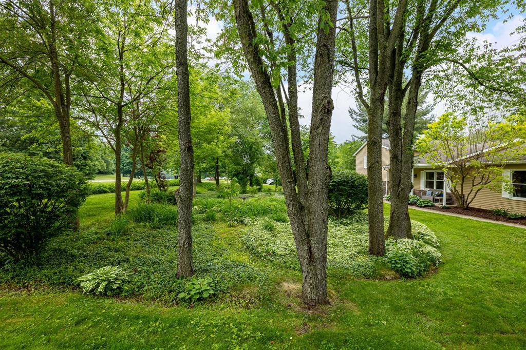 9177 Horseshoe Bend, Dexter Twp, MI 48130