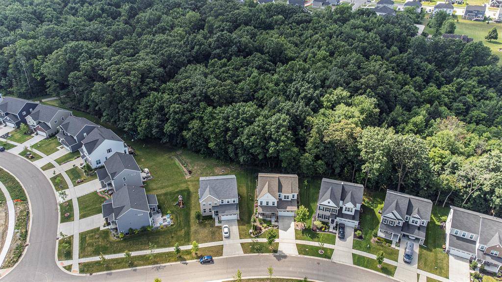 Scio Twp, MI 48103,6217 S Trailwoods Drive