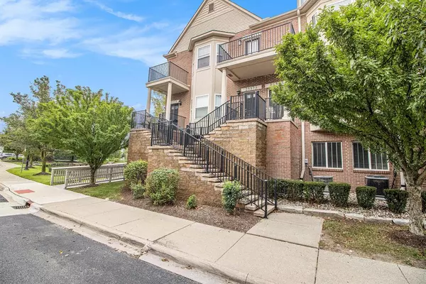 Novi, MI 48375,25575 Portico Lane