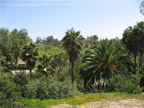 Rancho Santa Fe, CA 92067,6557 Las Colinas