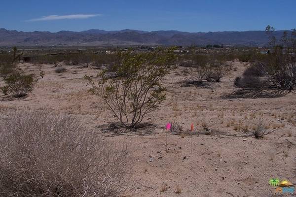 0 CAMPANULA ST, Joshua Tree, CA 92252