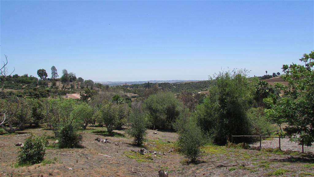 CA 92003,Via Rancho del Lago