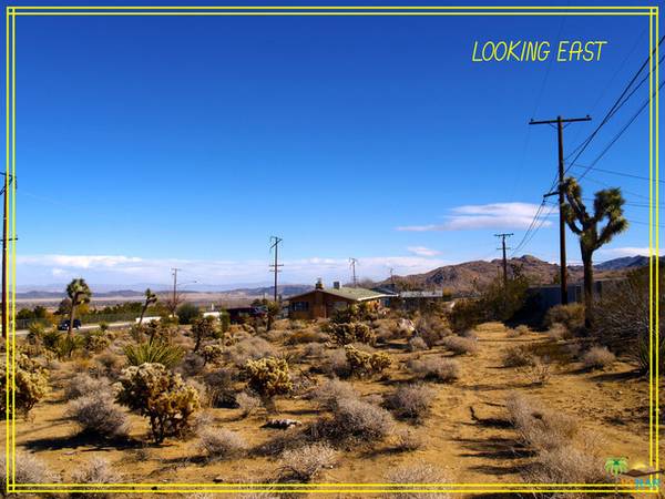 Joshua Tree, CA 92252,60855 ALTA LOMA DR