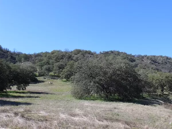 Santa Ysabel, CA 92070,0 Mesa Grande Rd.