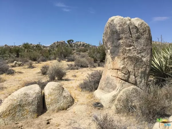 Yucca Valley, CA 92284,9999 Cobalt