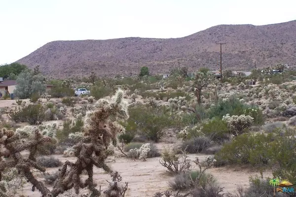 Yucca Valley, CA 92284,0 Marvin Drive