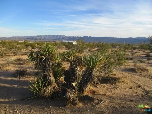 Joshua Tree, CA 92252,0 Stonehill Polaris AVE