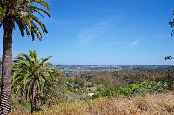 Rancho Santa Fe, CA 92067,5385 Linea Del Cielo