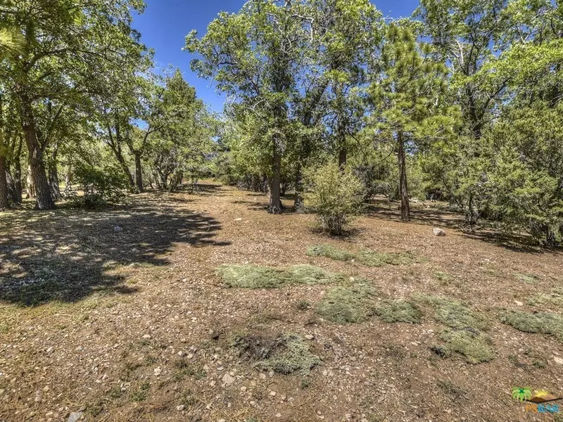 43680 YOSEMITE, Big Bear, CA 92315