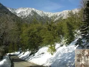 Idyllwild, CA 92549,0 Doubleview