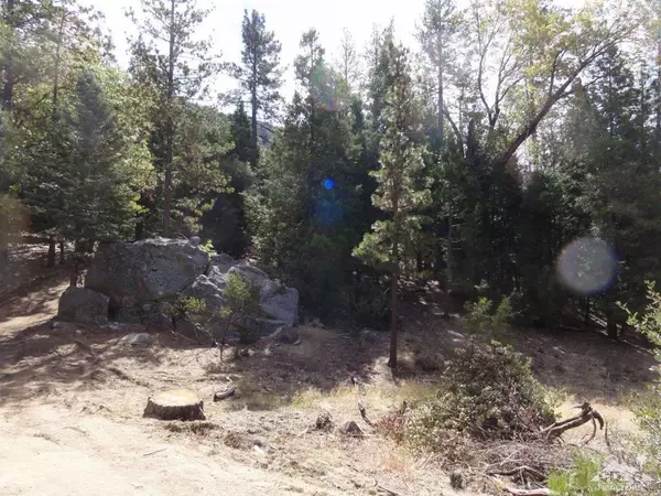 Idyllwild, CA 92549,25435 Scenic DR